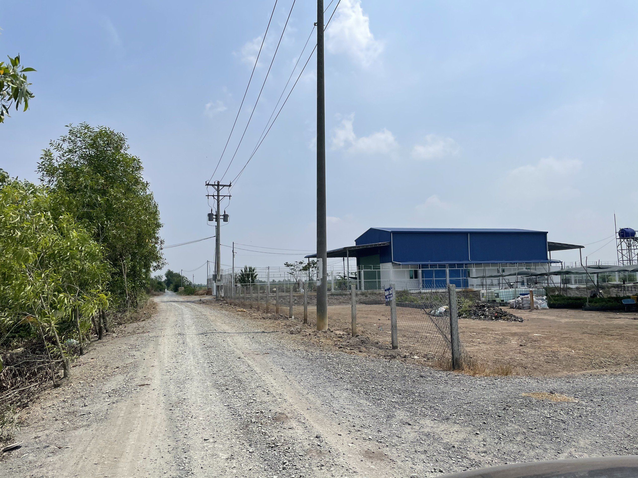 8,4 mẫu đất ở Thủ Thừa, Long An thích hợp kinh doanh 2
