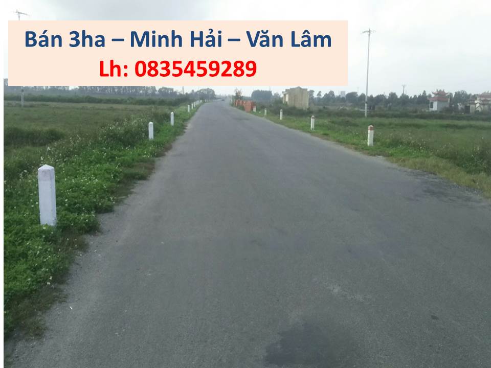 Bán 3ha đất công nghiệp 50 năm tại mặt đường trục kinh tế Bắc - Nam, Văn Lâm, Hưng Yên 1