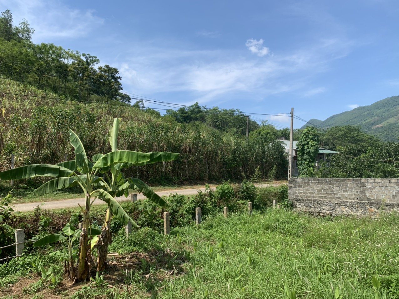 BÁN RẺ 3008M ĐẤT CHÍNH CHỦ, ĐƯỜNG RỘNG 11M, CAO, THOÁNG, VIEW ĐẸP, CAO PHONG - HÒA BÌNH 2