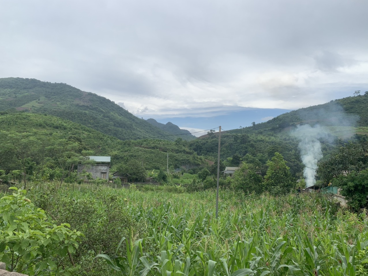 CẦN TIỀN BÁN GẤP 1200M GIÁ RẺ, ĐƯỜNG OTO TRÁNH, VIEW THOÁNG, ĐỊA CHỈ CAO PHONG - HÒA BÌNH