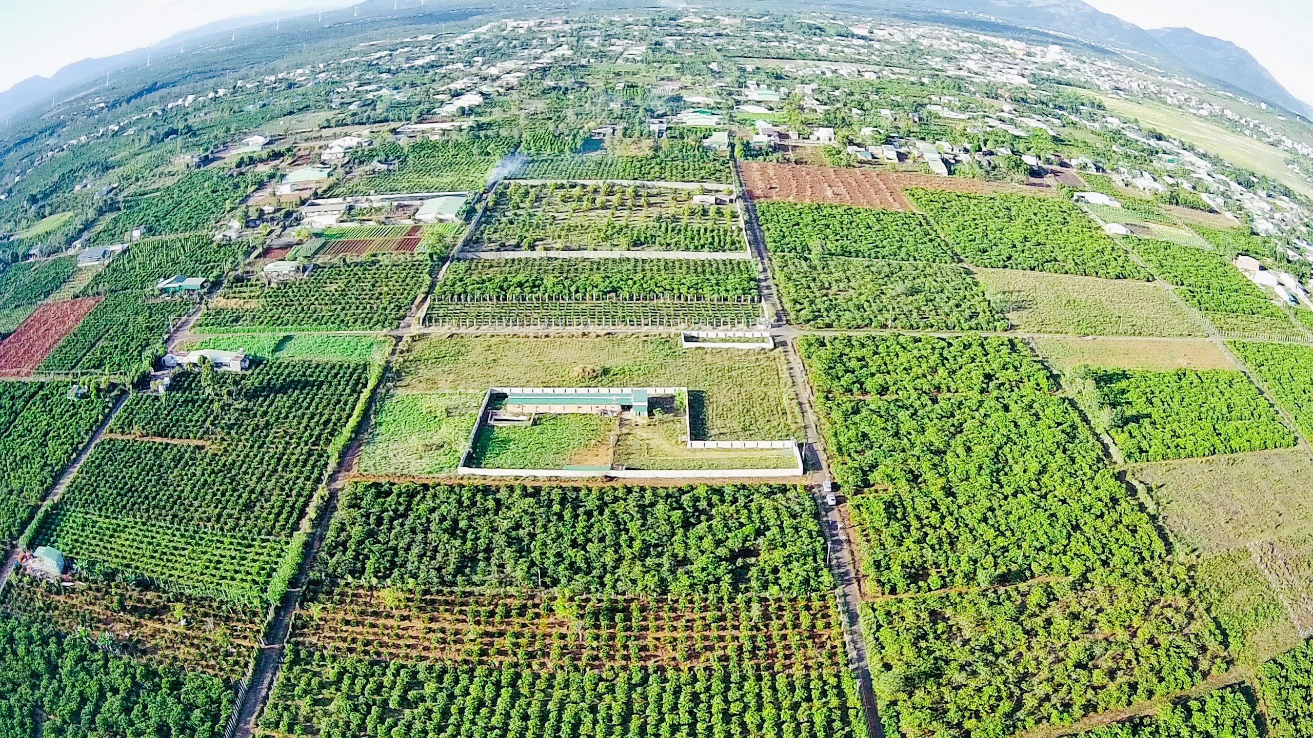 Bán đất nông nghiệp phường Yên Thế - Pleiku 35 triệu