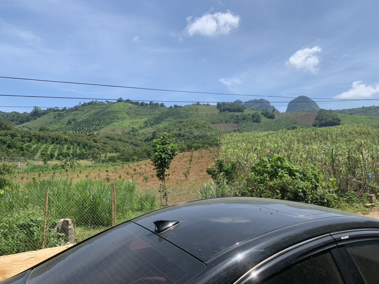 BÁN RẺ 3008M ĐẤT CHÍNH CHỦ, ĐƯỜNG RỘNG 11M, CAO, THOÁNG, VIEW ĐẸP, CAO PHONG - HÒA BÌNH 7