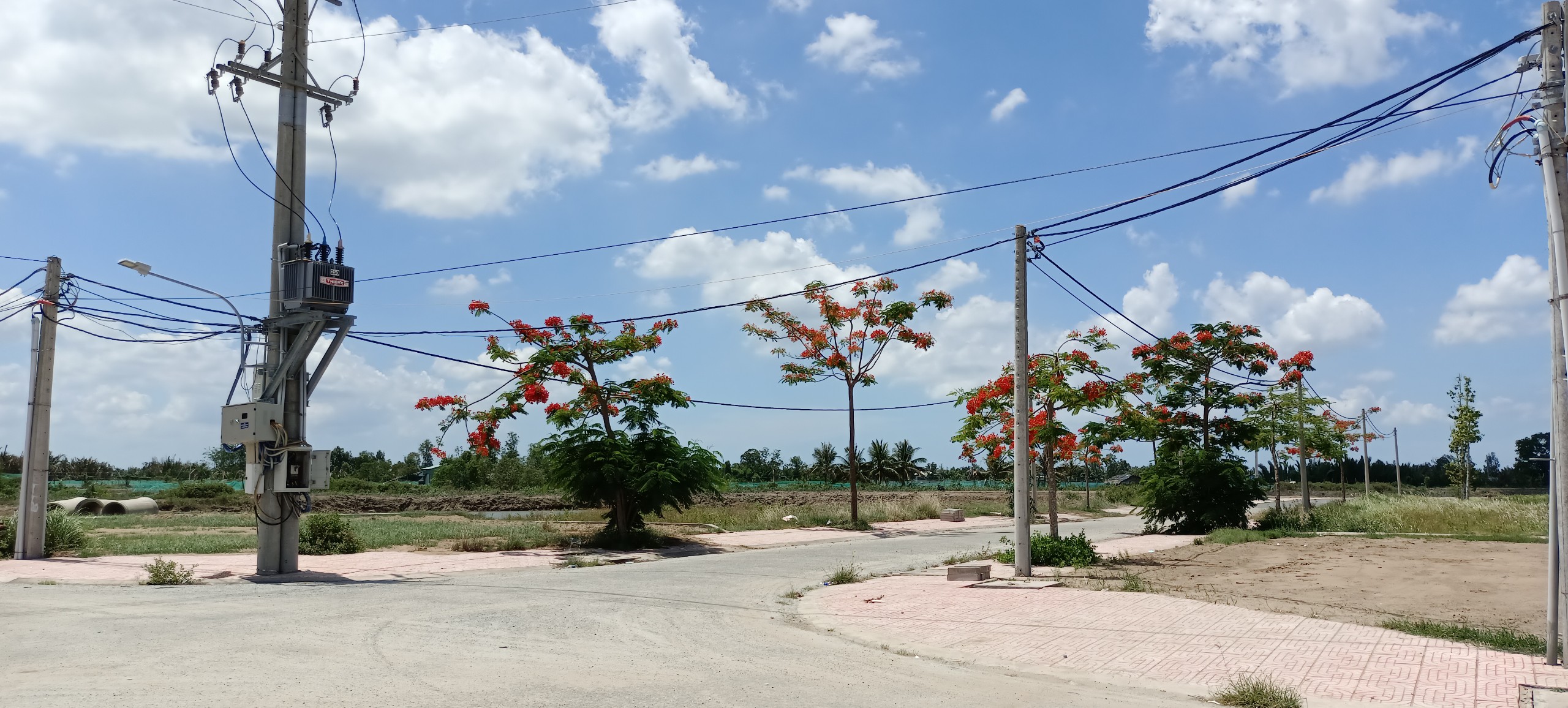 Cần bán gấp lô đất thổ cư trước cổng trường mầm non đường dẫn ra khu công nghiệp giá mềm 5