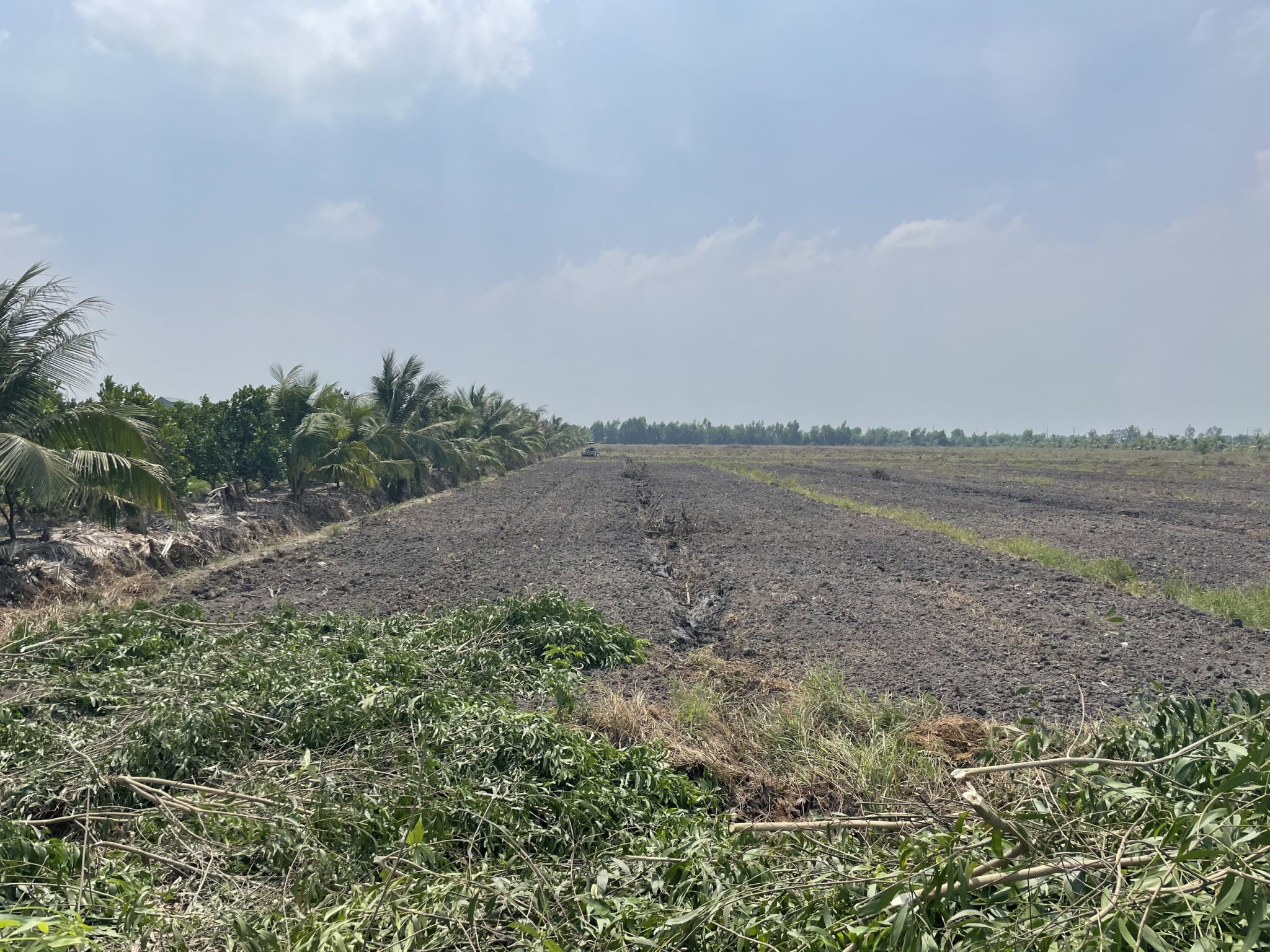 8,4 mẫu đất ở Thủ Thừa, Long An thích hợp kinh doanh 4