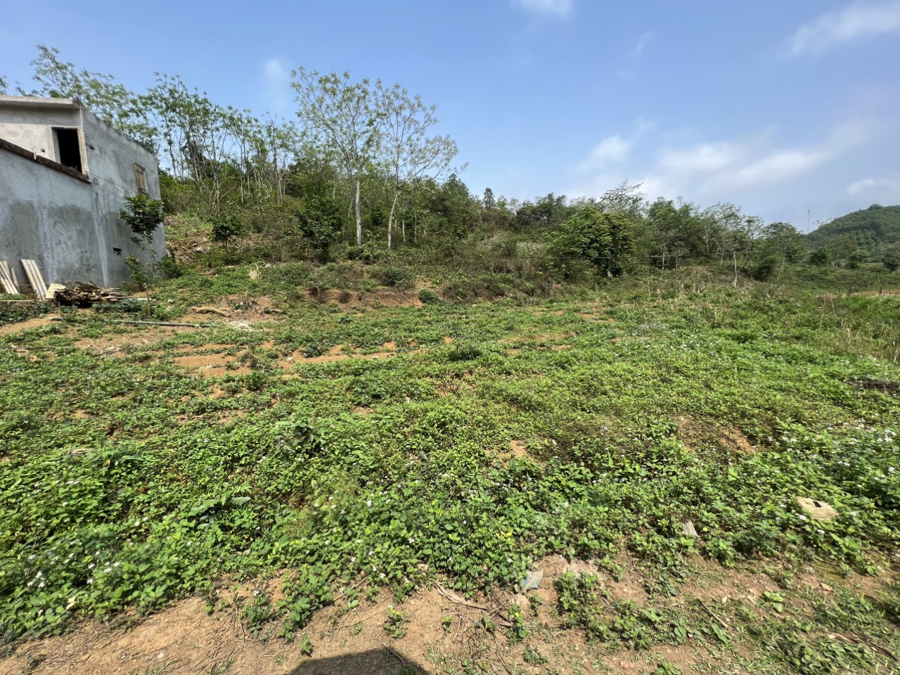 Cần bán 1976m, có 200m đất ở tại Tây Phong, Cao Phong, Hòa Bình 2