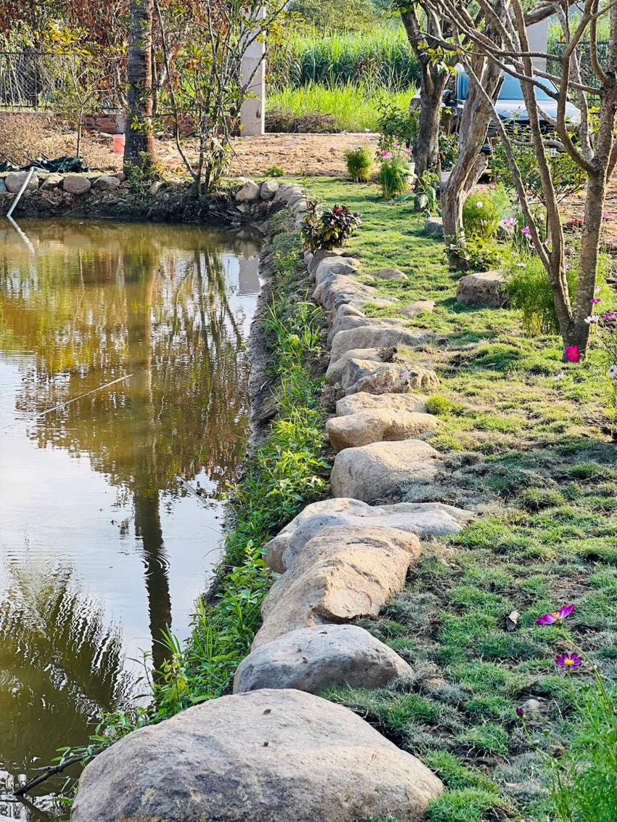Cần bán Đất vườn có thổ tuyệt đẹp Ven thành phố Nha Trang Xã Diên Đồng, Diện tích 1350m², Giá Thương lượng - LH: 0985451850 10
