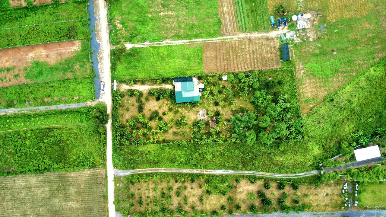 Cần bán Đất đường Tỉnh Lộ 2, Xã Diên Đồng, Diện tích 3181m², Giá 2.5 Triệu/m² - LH: 0901139560 3