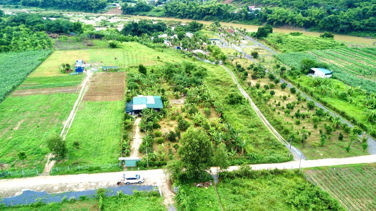 Cần bán Đất đường Tỉnh Lộ 2, Xã Diên Đồng, Diện tích 3181m², Giá 2.5 Triệu/m² - LH: 0901139560 2