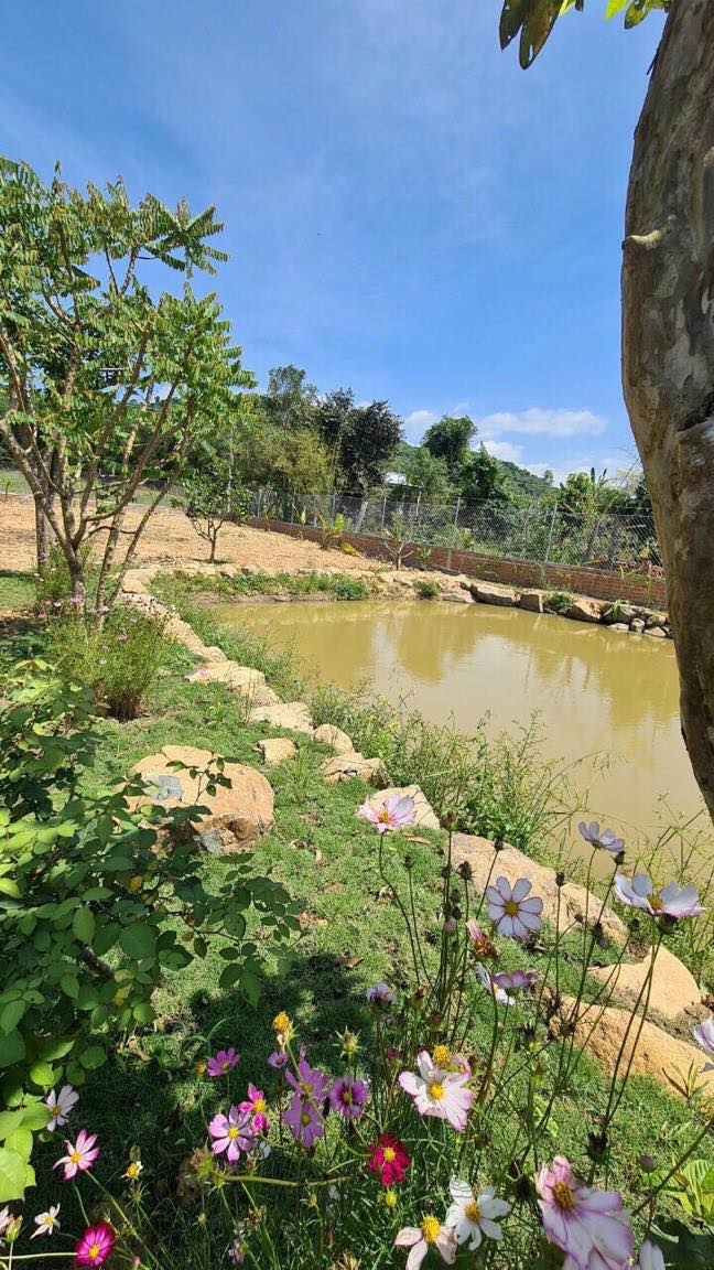Cần bán Đất vườn có thổ tuyệt đẹp Ven thành phố Nha Trang Xã Diên Đồng, Diện tích 1350m², Giá Thương lượng - LH: 0985451850 4
