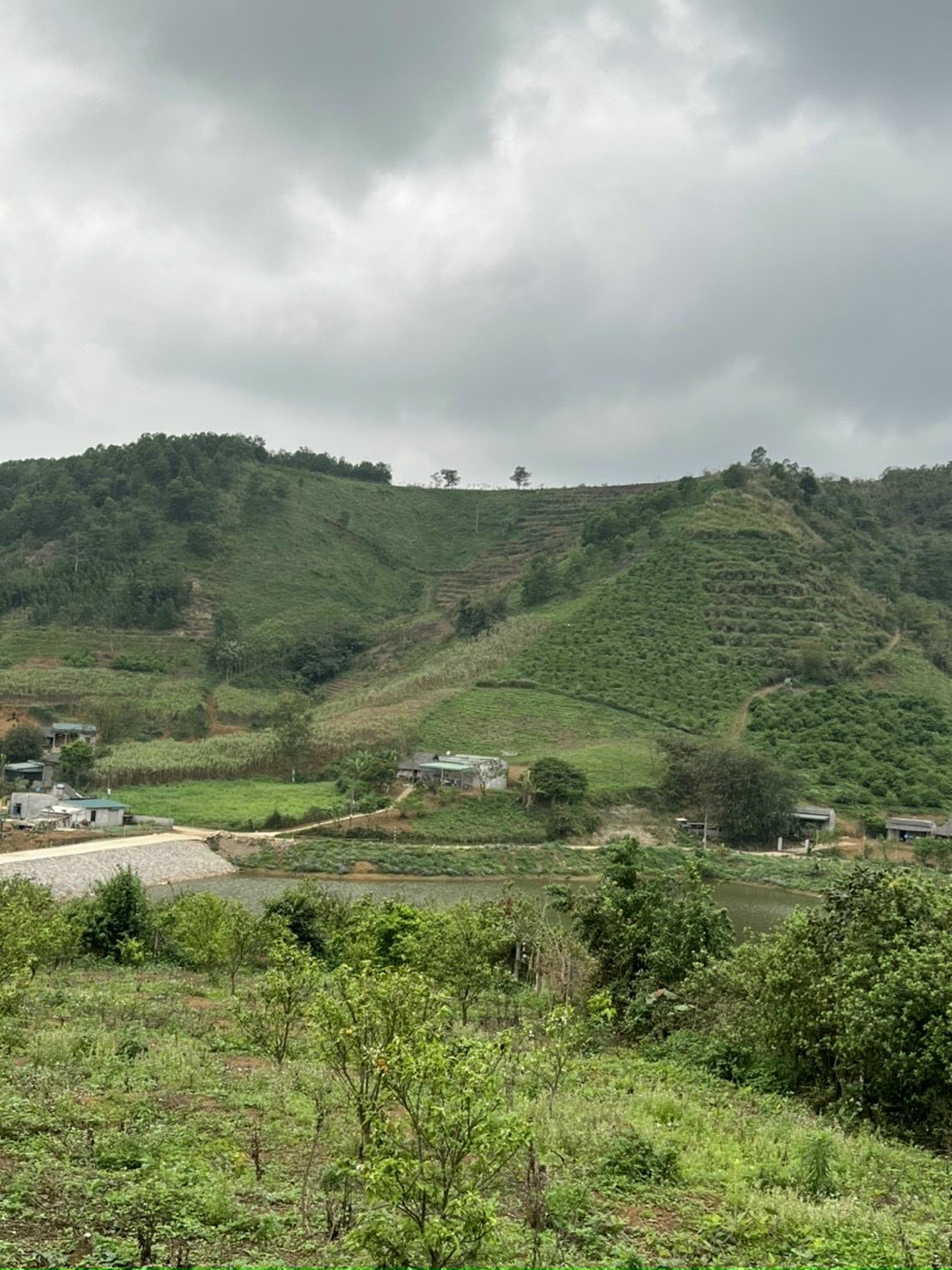 SIÊU PHẨM VIEW HỒ CỰC ĐỈNH TẠI CAO PHONG 4430M CÓ 2900M ĐẤT Ở  GIÁ CHỈ NHỈNH 3 TỶ 2