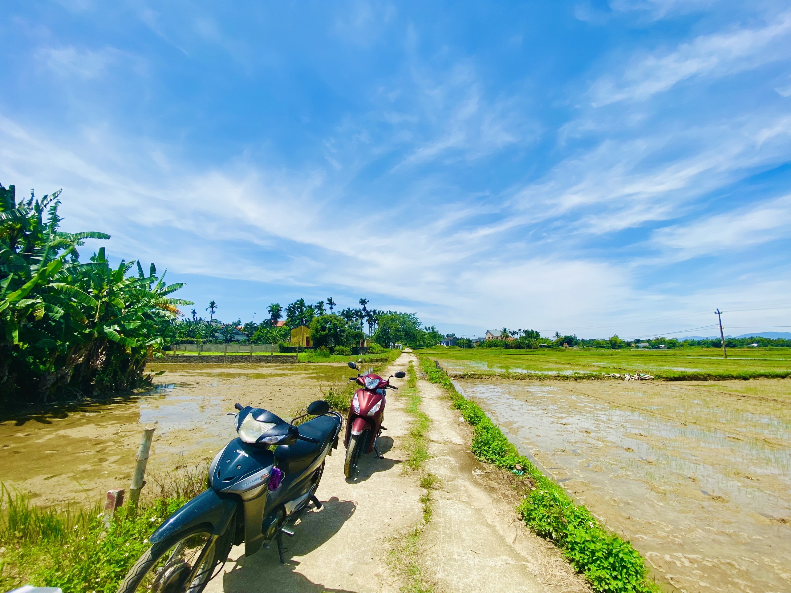 Bán đất sẵn sổ giáp ranh Đà Nẵng- cách dự án cầu Quảng Đà 900m. Giá Thương lượng - LH: 0356685075 5