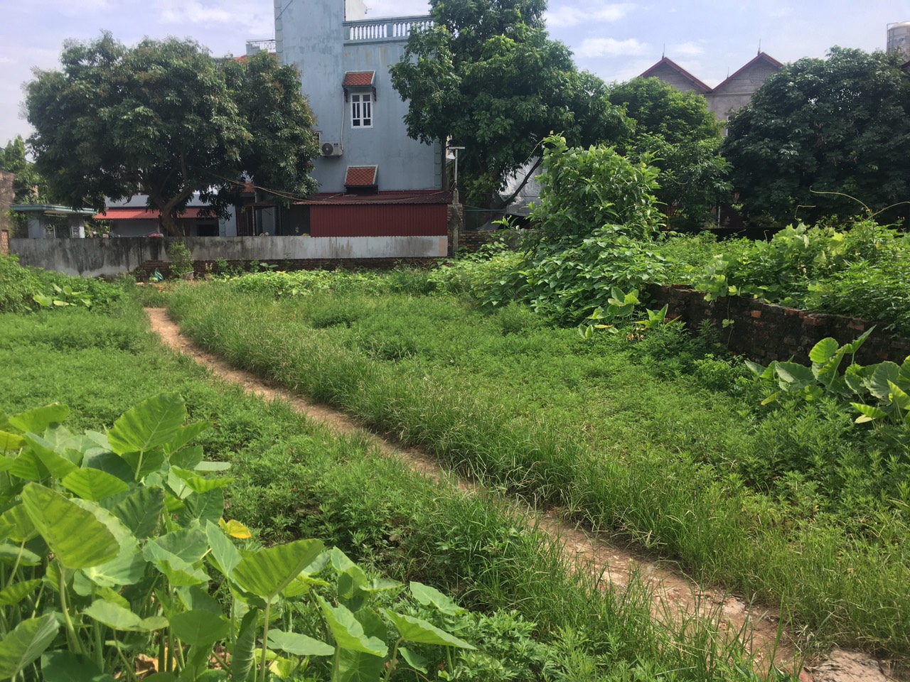 Bán đất thôn Nhì Vân Nội Đông Anh Hà Nội 250m 2 mặt đường giá rẻ 5