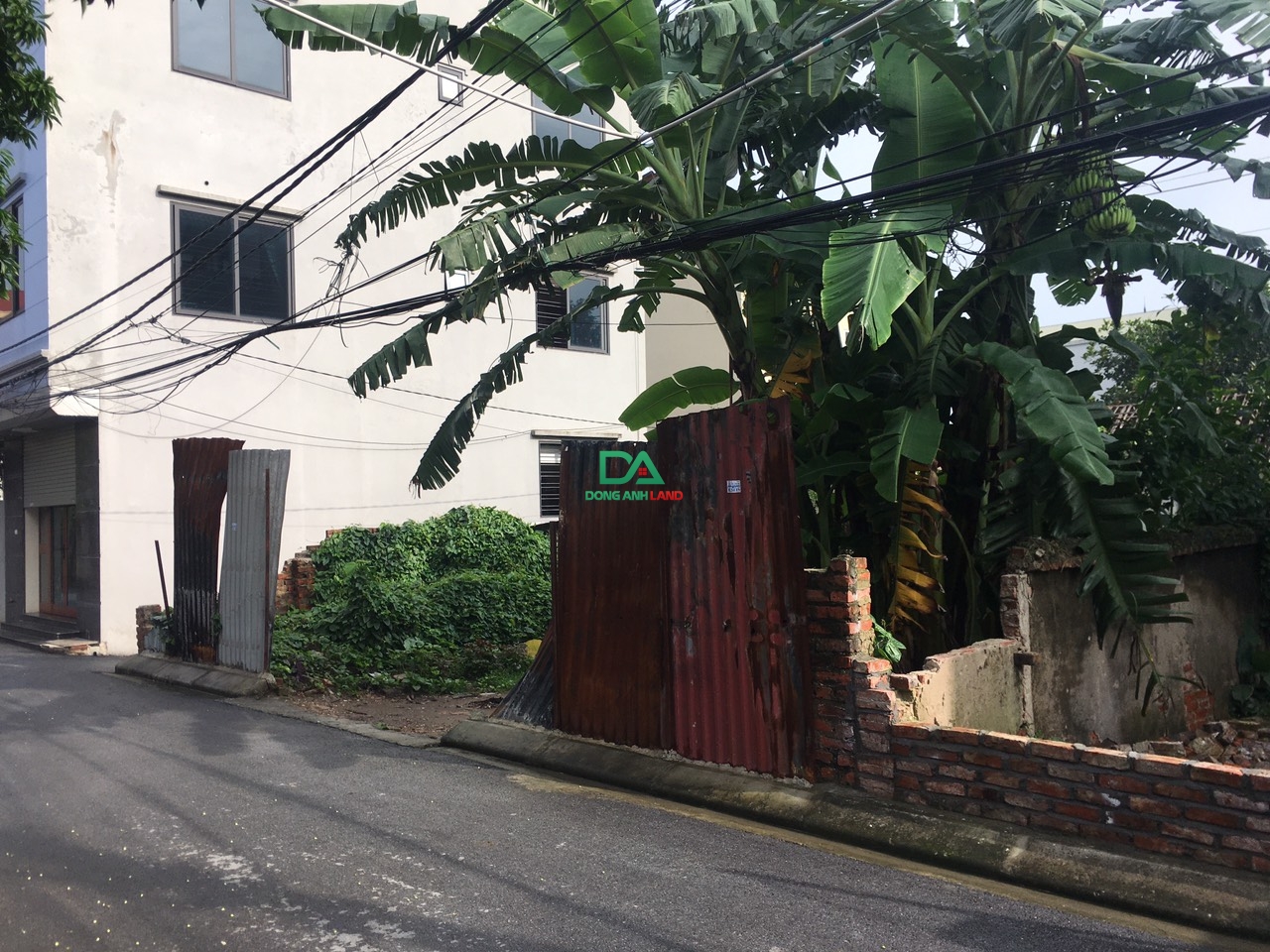 Bán Đất Cổ Dương Tiên Dương Đông Anh 195.3m bìa bắc giá rẻ 4