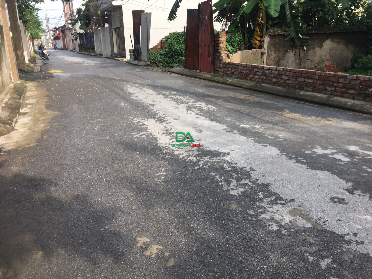 Bán Đất Cổ Dương Tiên Dương Đông Anh 195.3m bìa bắc giá rẻ 3