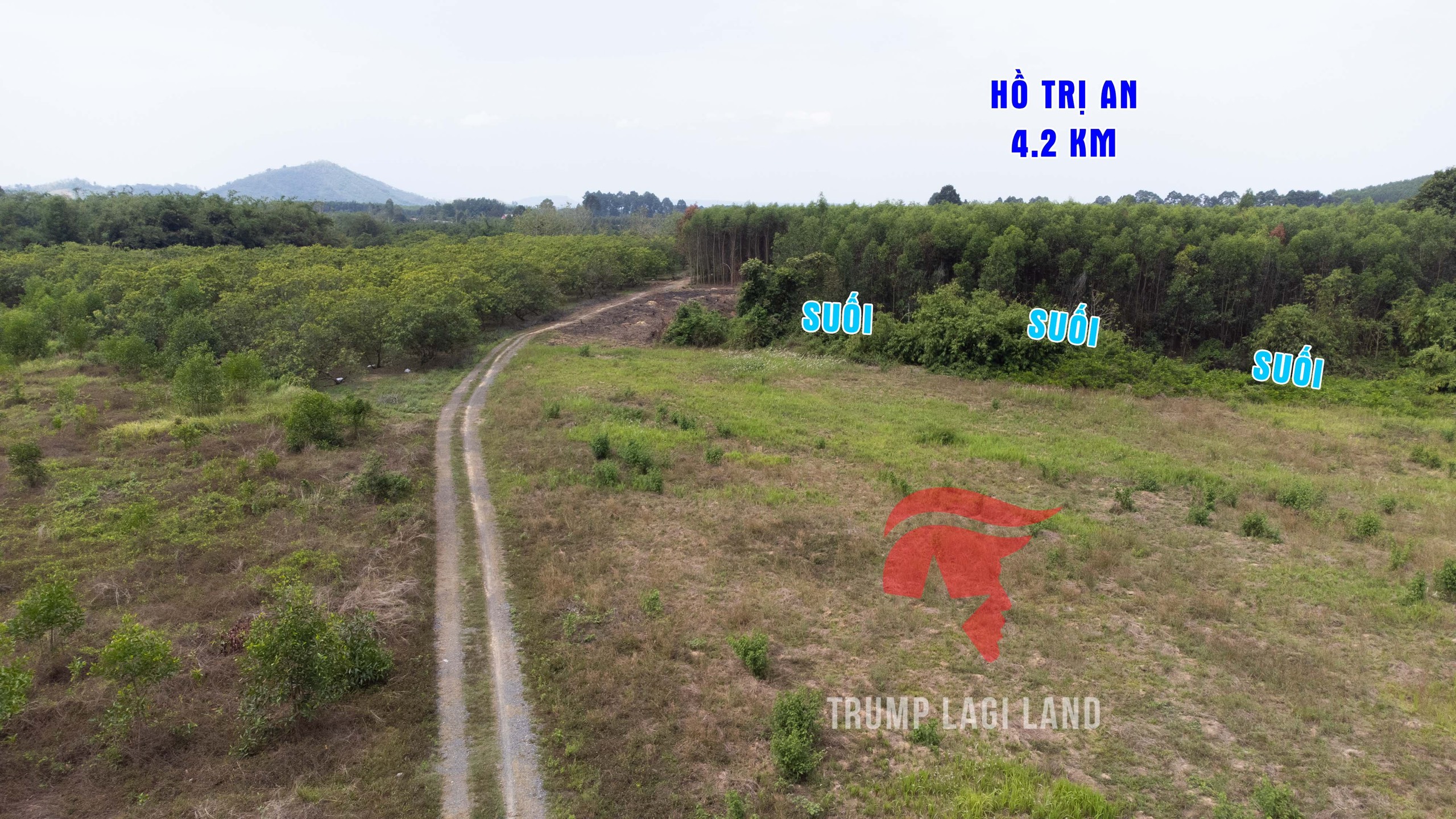 Cần bán Đất đường Tỉnh lộ 761, Xã Thanh Sơn, Diện tích 2000m², Giá 1.3 Tỷ - LH: 0988609571 2
