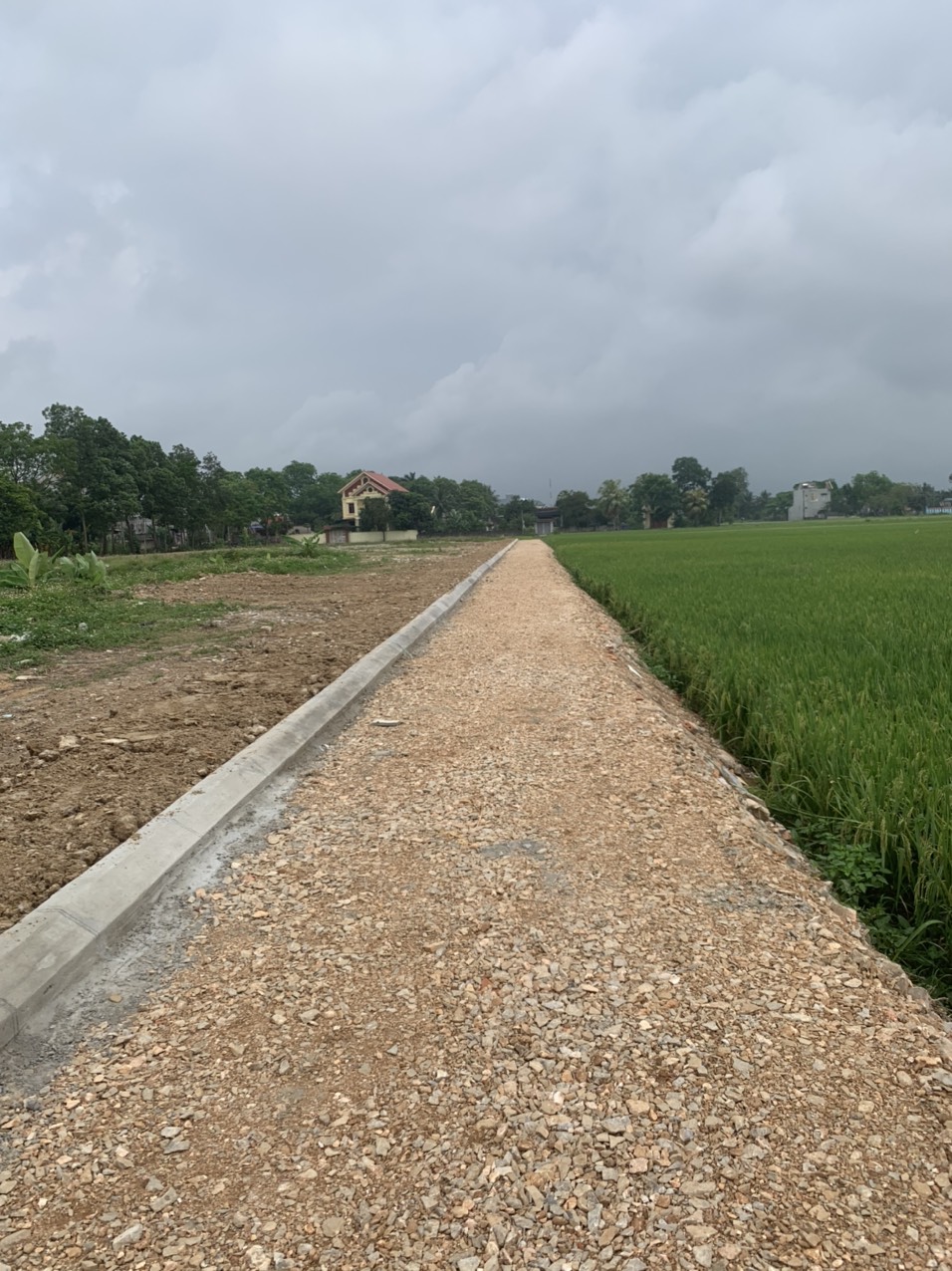 Cần bán Đất nền dự án đường Quốc lộ 1A, Thị trấn Quảng Xương, Diện tích 60m², Giá Thương lượng - LH: 0966692112