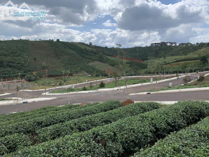 Cần bán Đất đường Quốc Lộ 20, Xã Lộc Tân, Diện tích 200m², Giá 1 Tỷ - LH: 0775686616