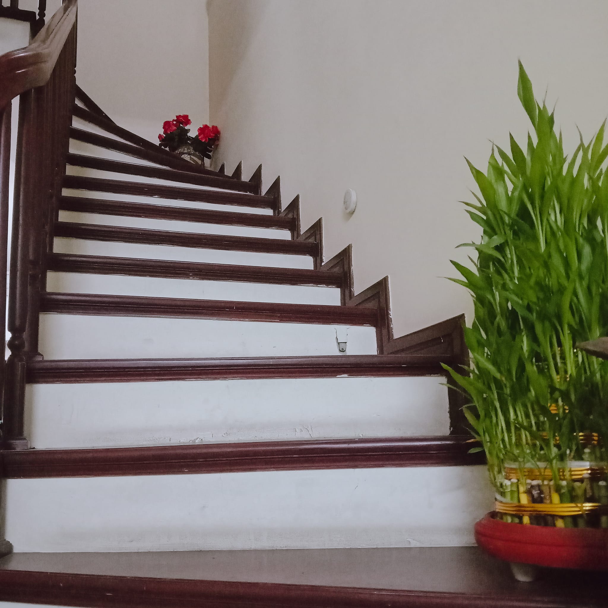 Cần bán Nhà mặt tiền đường Mai Dịch, Phường Mai Dịch, Diện tích 75m², Giá 14 Tỷ - LH: 0969449262 5