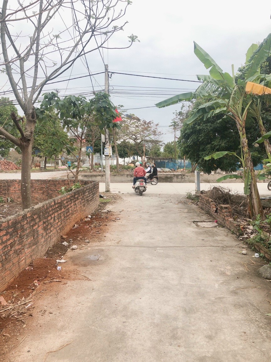 Cần bán Đất Xã Quang Tiến, Sóc Sơn, Diện tích 60m², Giá Thương lượng - LH: 0971603907