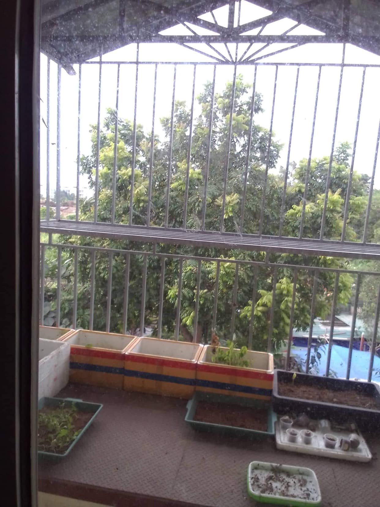 Cần bán Nhà mặt tiền đường Phú Diễn, Chọn, Diện tích 36m², Giá 3.65 Tỷ - LH: 0969449262 3