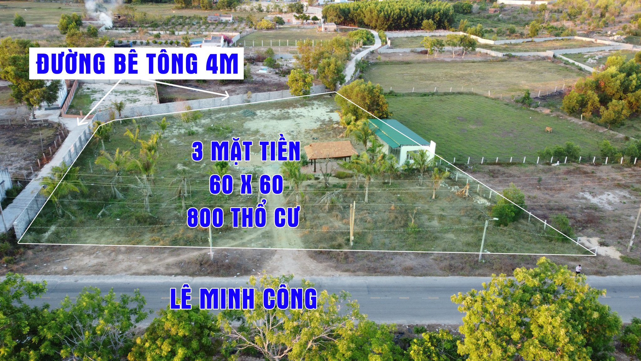 Cần bán Đất đường Lê Minh Công, Xã Tân Phước, Diện tích 3912m², Giá 35 Tỷ - LH: 0988609571 11