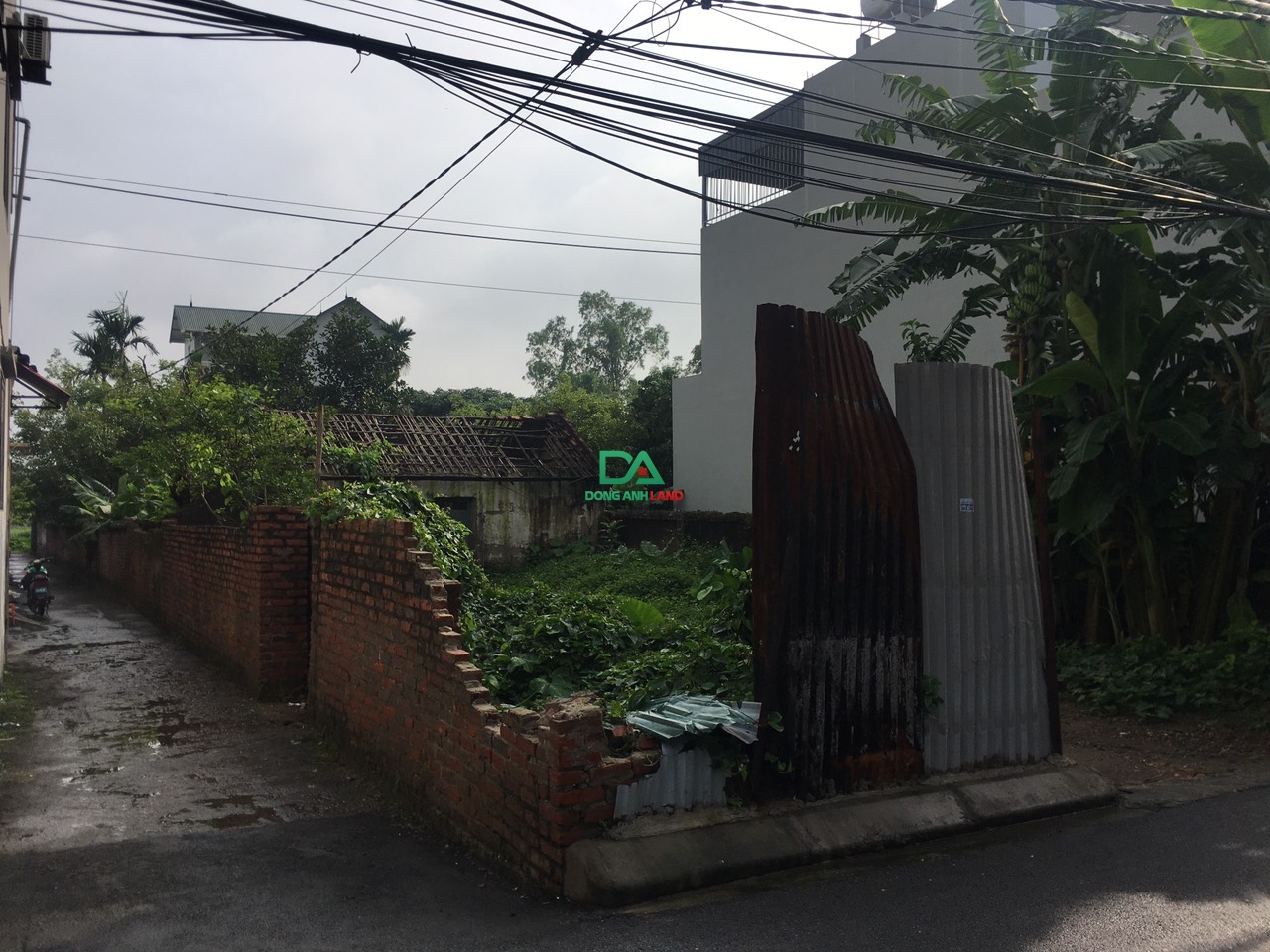 Bán Đất Cổ Dương Tiên Dương Đông Anh 195.3m bìa bắc giá rẻ 5