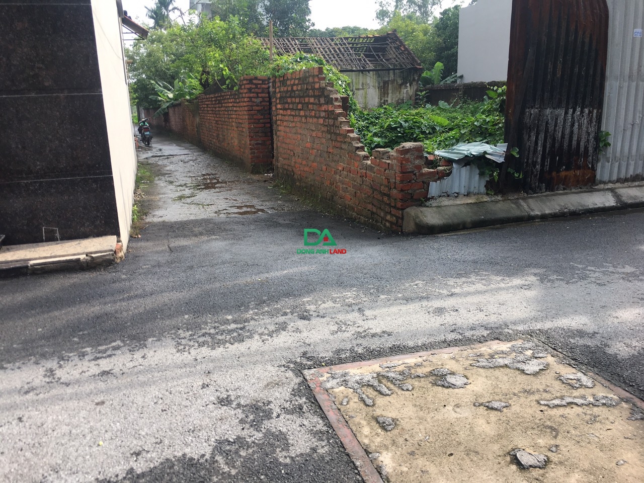 Bán Đất Cổ Dương Tiên Dương Đông Anh 195.3m bìa bắc giá rẻ 2