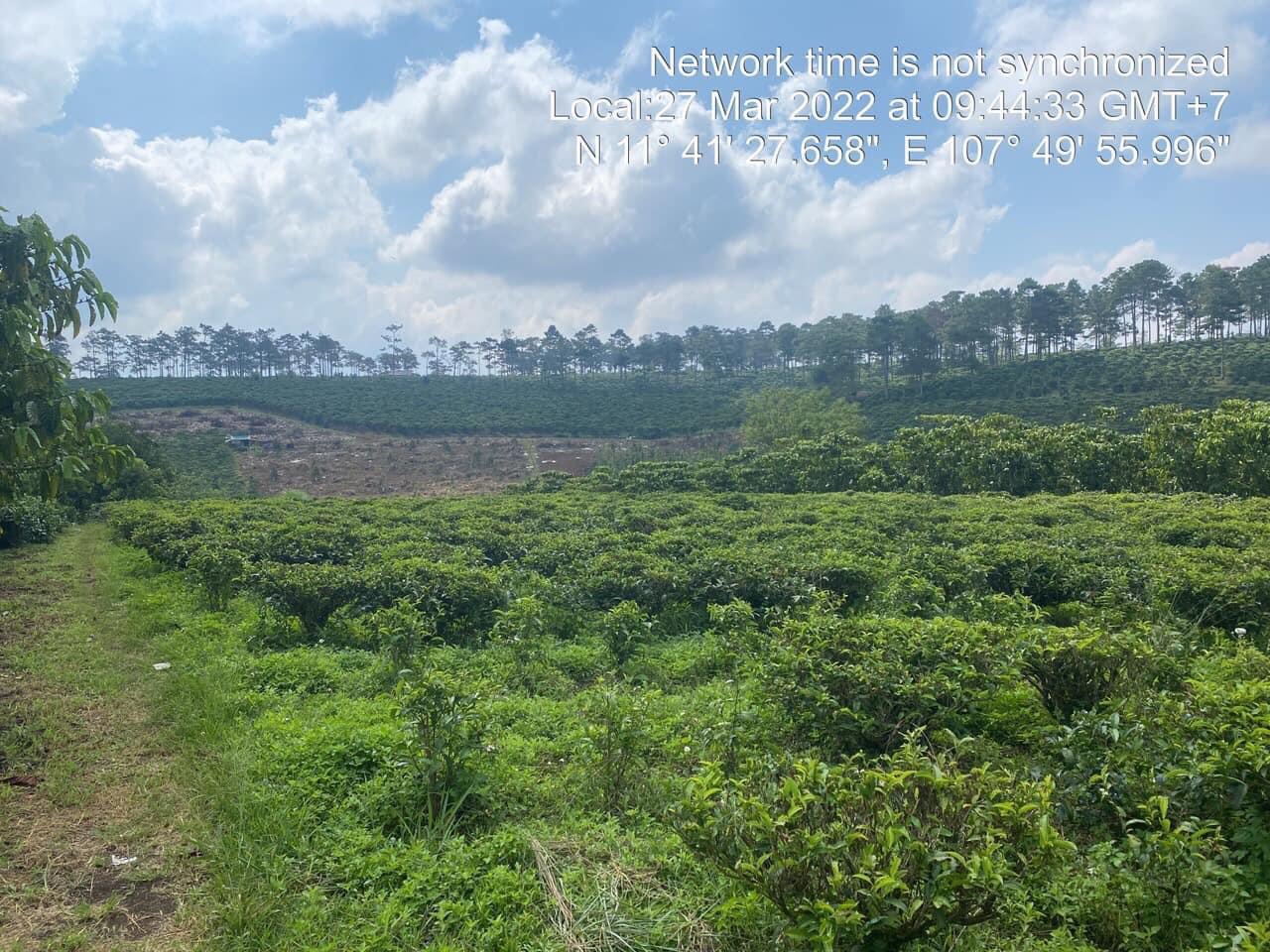 Cần bán Đất đường 20, Thị trấn Lộc Thắng, Diện tích 4000m², Giá Thương lượng - LH: 0389035961