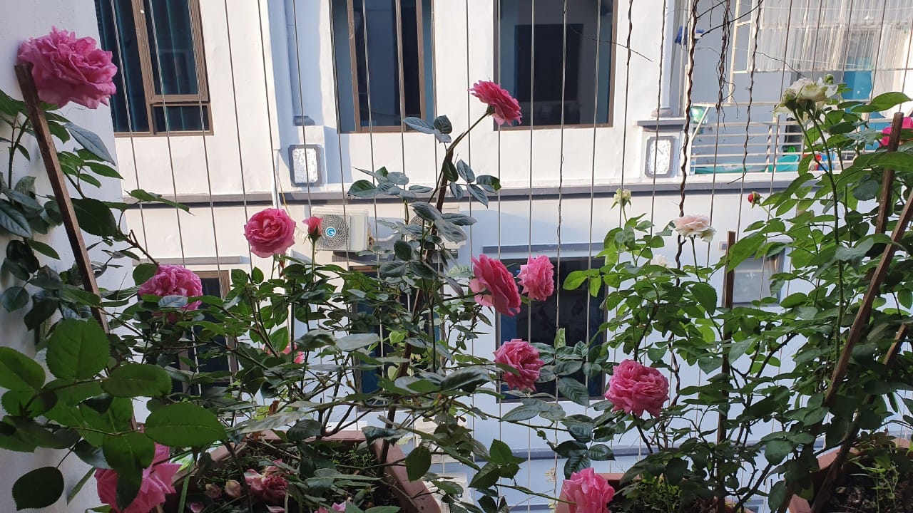 Cần bán Nhà mặt tiền đường Mai Dịch, Phường Mai Dịch, Diện tích 75m², Giá 14 Tỷ - LH: 0969449262 6