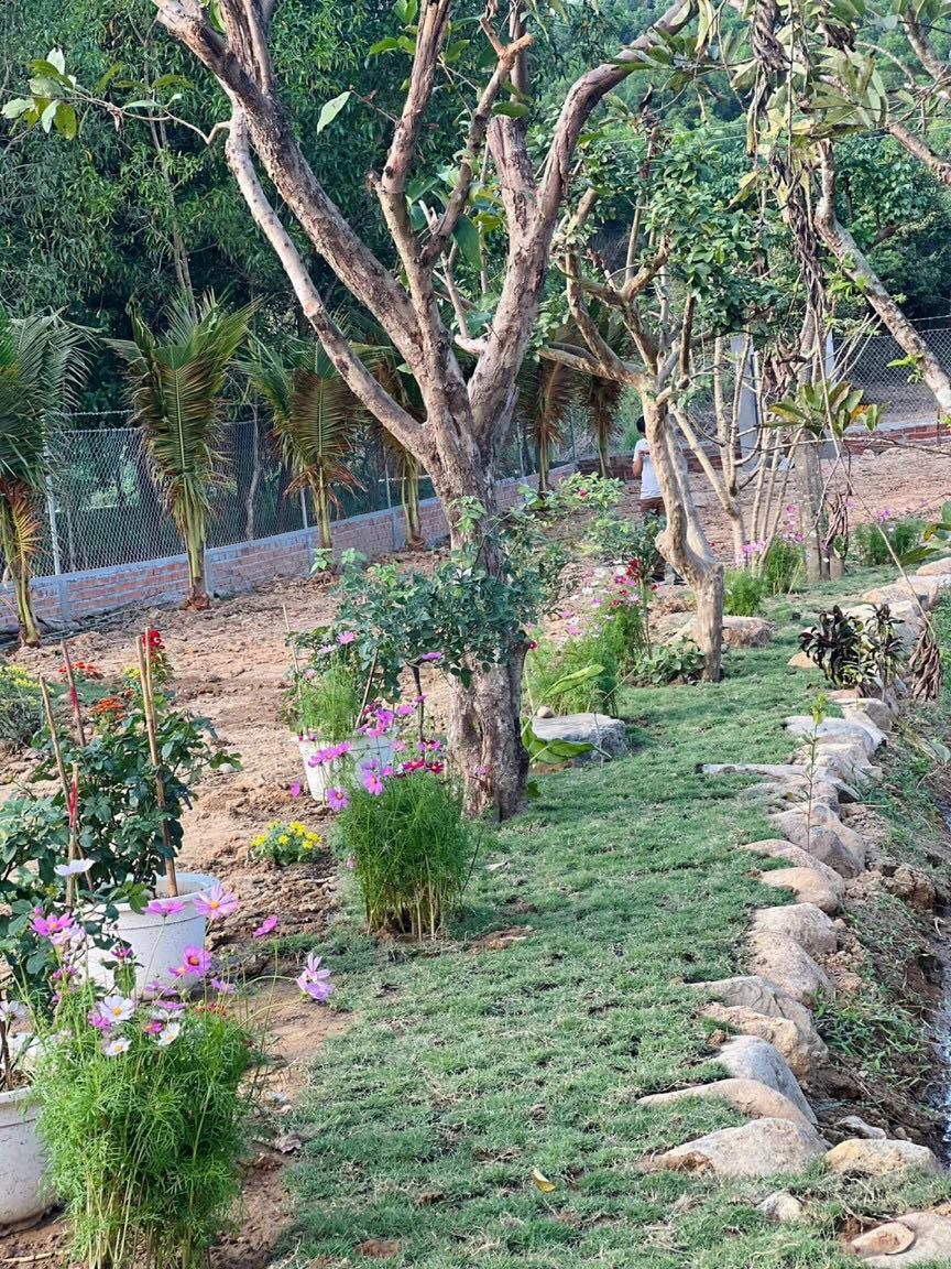 Cần bán Đất vườn có thổ tuyệt đẹp Ven thành phố Nha Trang Xã Diên Đồng, Diện tích 1350m², Giá Thương lượng - LH: 0985451850 11
