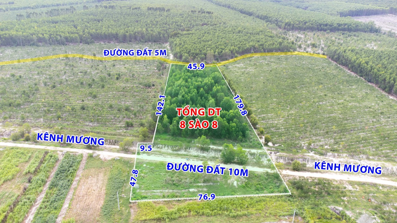 Cần bán Đất đường Nguyễn Trãi, Xã Tân Bình, Diện tích 8782m², Giá Thương lượng - LH: 0933840979 6