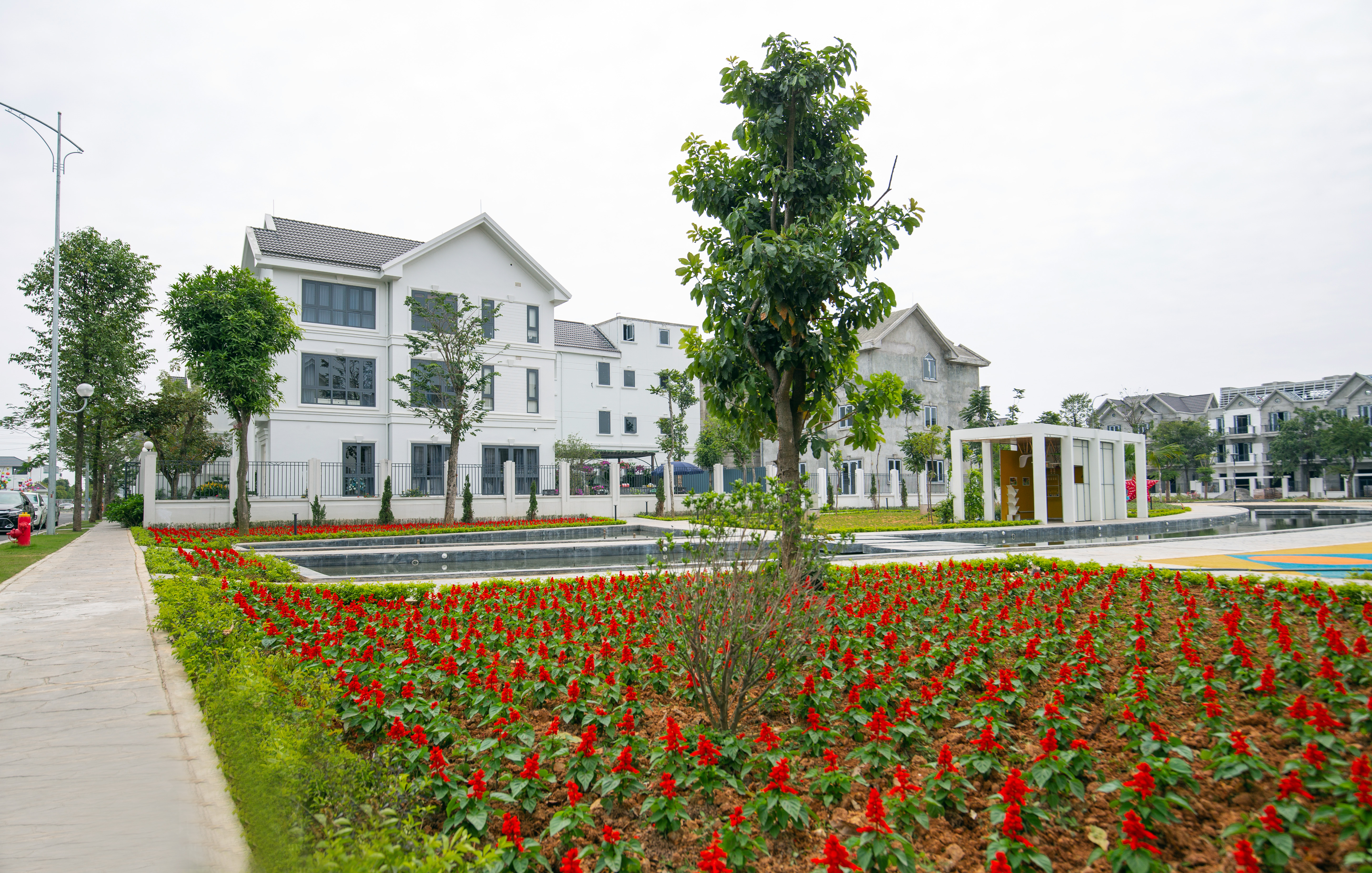 Chính thức mở bán dự án Times Garden Vĩnh Yên lãi suất 0% trong 12 tháng 2