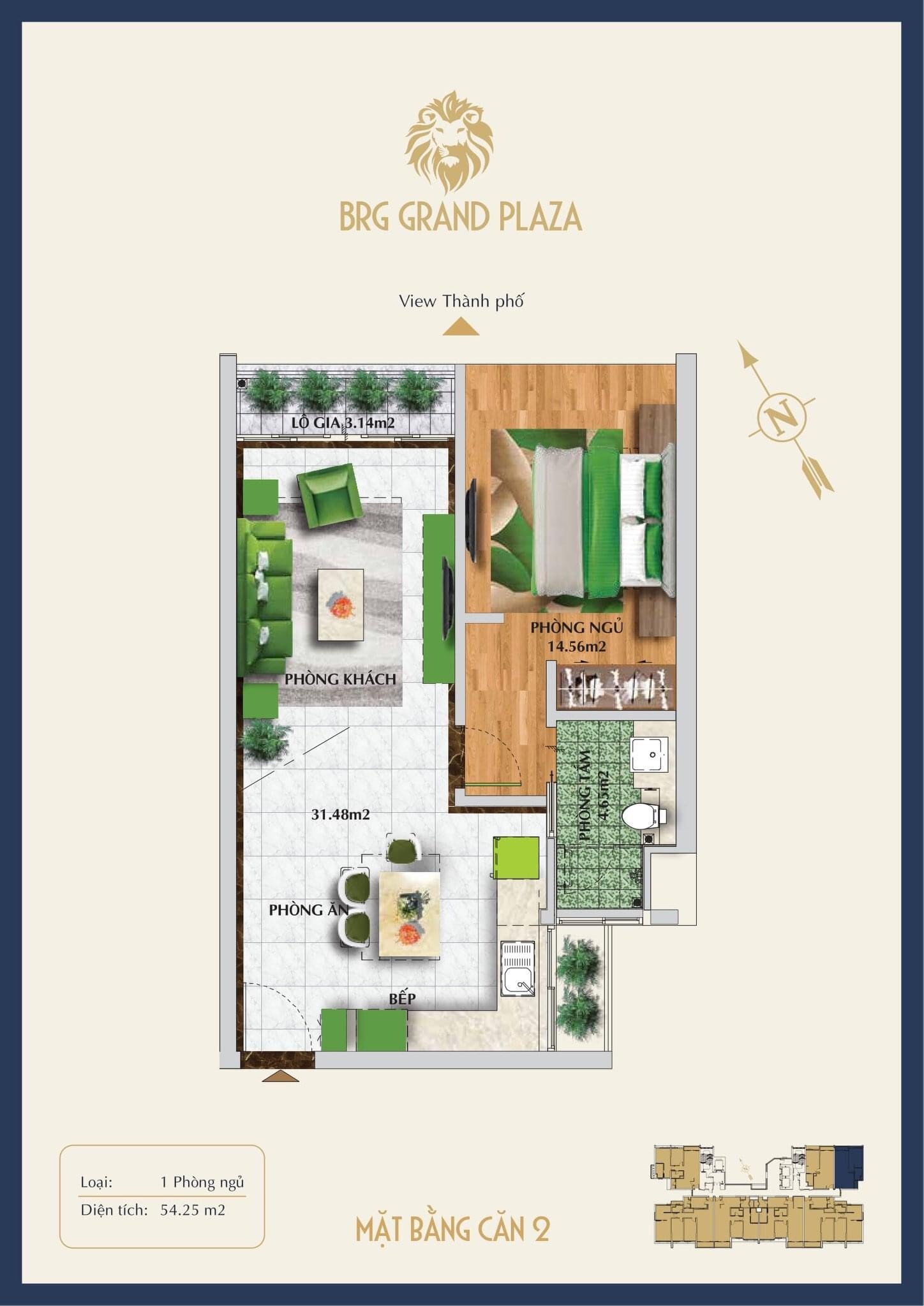 Mua trực tiếp chủ đầu tư, BRG Grand Plaza Láng Hạ, DT 55-123m2, full NT, view trọn Hồ Thành Công 5