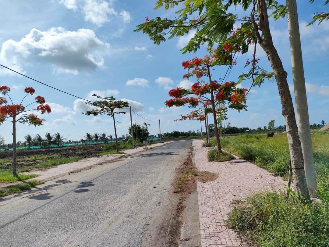 Bán đất nền ngay trung tâm thị trấn huyện Thạnh Phú