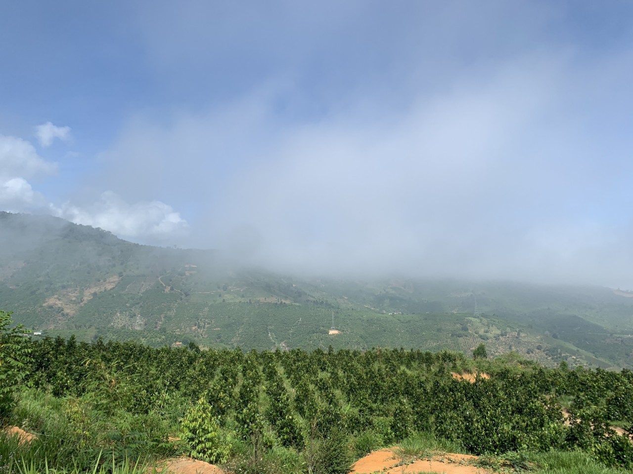 21 hecta đất vườn tiềm năng nghỉ dưỡng ở xã Lộc Nam, huyện Bảo Lâm, tỉnh Lâm Đồng