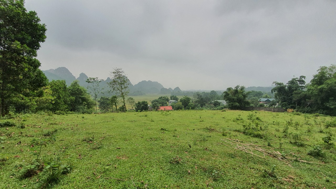 Bán mảnh đất view cánh đồng, núi đá trập trùng tuyệt đẹp giá cực rẻ tại Lương Sơn 3