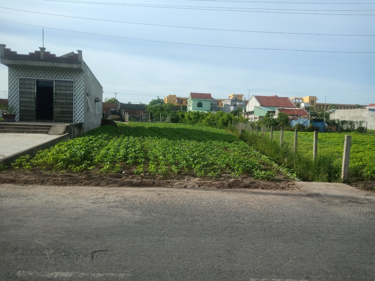 Bán đất chính chủ (5x25) 125m2 trên đường Trường Chinh thuộc Khu 18 Thịnh Trấn Thịnh Long , Hải Hậu , Nam Định 2