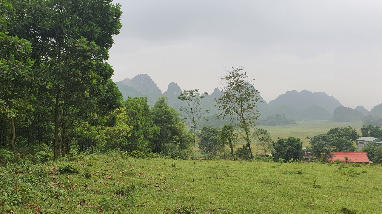 Bán mảnh đất view cánh đồng, núi đá trập trùng tuyệt đẹp giá cực rẻ tại Lương Sơn 4