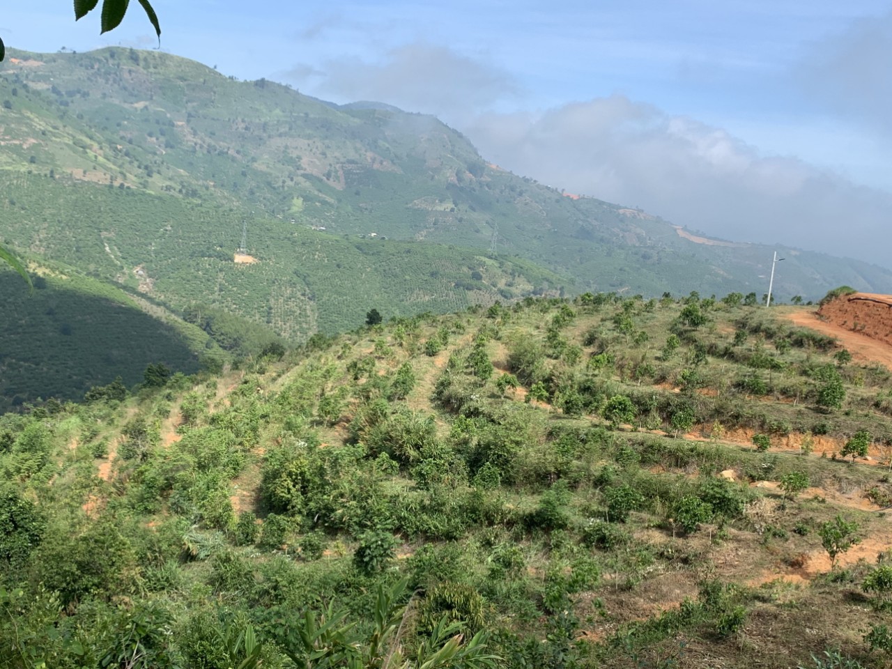 21 hecta đất vườn tiềm năng nghỉ dưỡng ở xã Lộc Nam, huyện Bảo Lâm, tỉnh Lâm Đồng 3