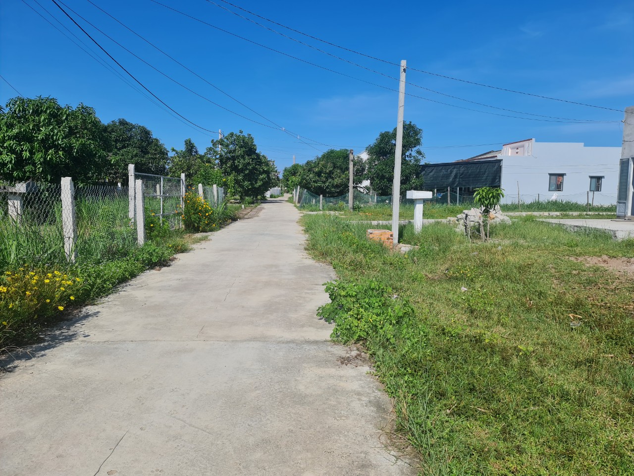 Cần bán Đất đường Lê Minh Công, Xã Tân Phước, Diện tích 215m², Giá 1.8 Tỷ - LH: 0988609571 6