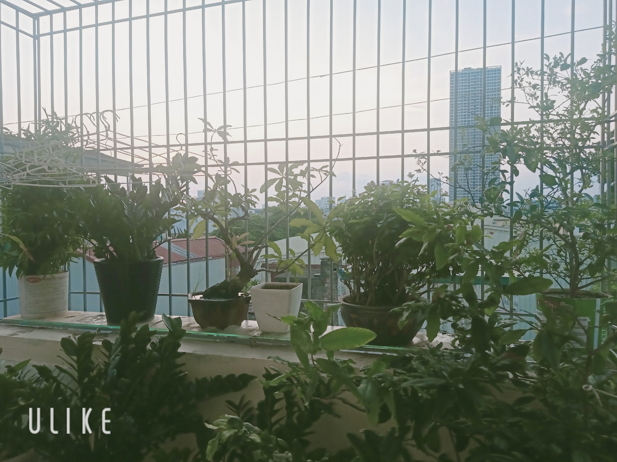 BÁN NHÀ ĐỐNG ĐA - THÁI HÀ - VÀI BƯỚC RA MẶT PHỐ - Ô TÔ CHẠY QUA CỬA NHÀ - CHỦ TẶNG FULL NỘI THẤT. 4