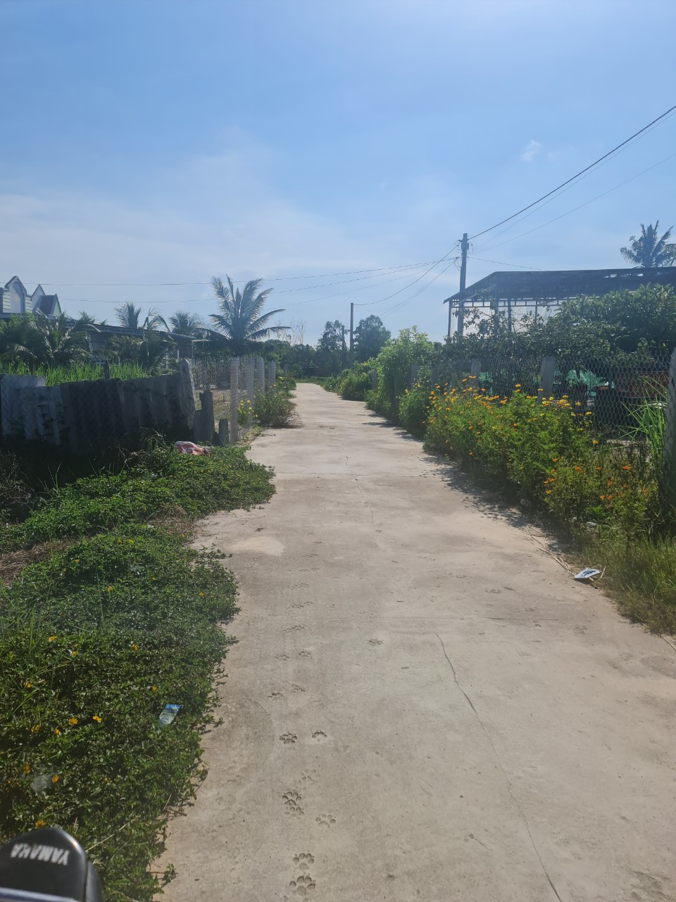 Cần bán Đất đường Lê Minh Công, Xã Tân Phước, Diện tích 215m², Giá 1.8 Tỷ - LH: 0988609571