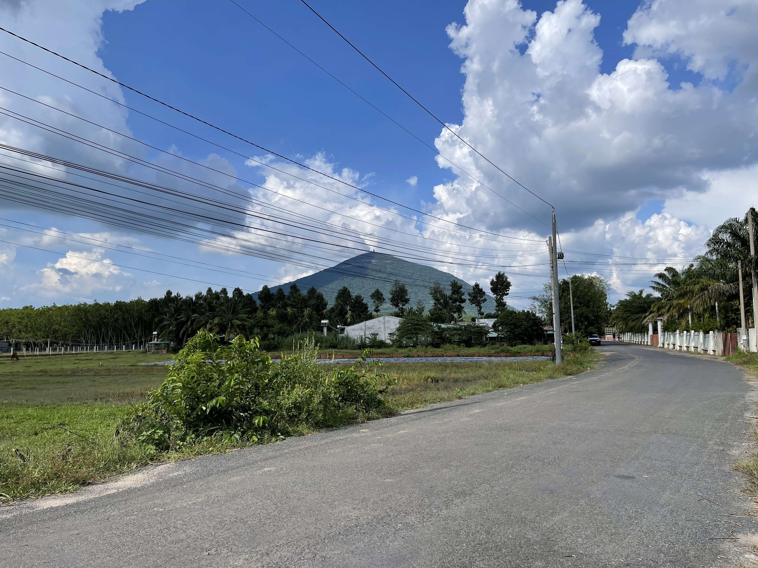 Cần bán Đất đường Bời Lời, Xã Ninh Sơn, Diện tích 300m², Giá 678 Triệu - LH: 0975431752 2