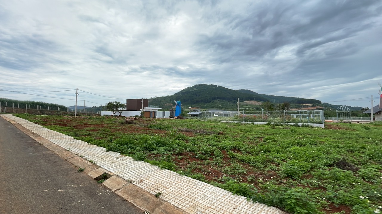Cần bán Đất đường Bồng Lai, Xã Hiệp Thạnh, Diện tích 125m², Giá 1.85 Tỷ 3
