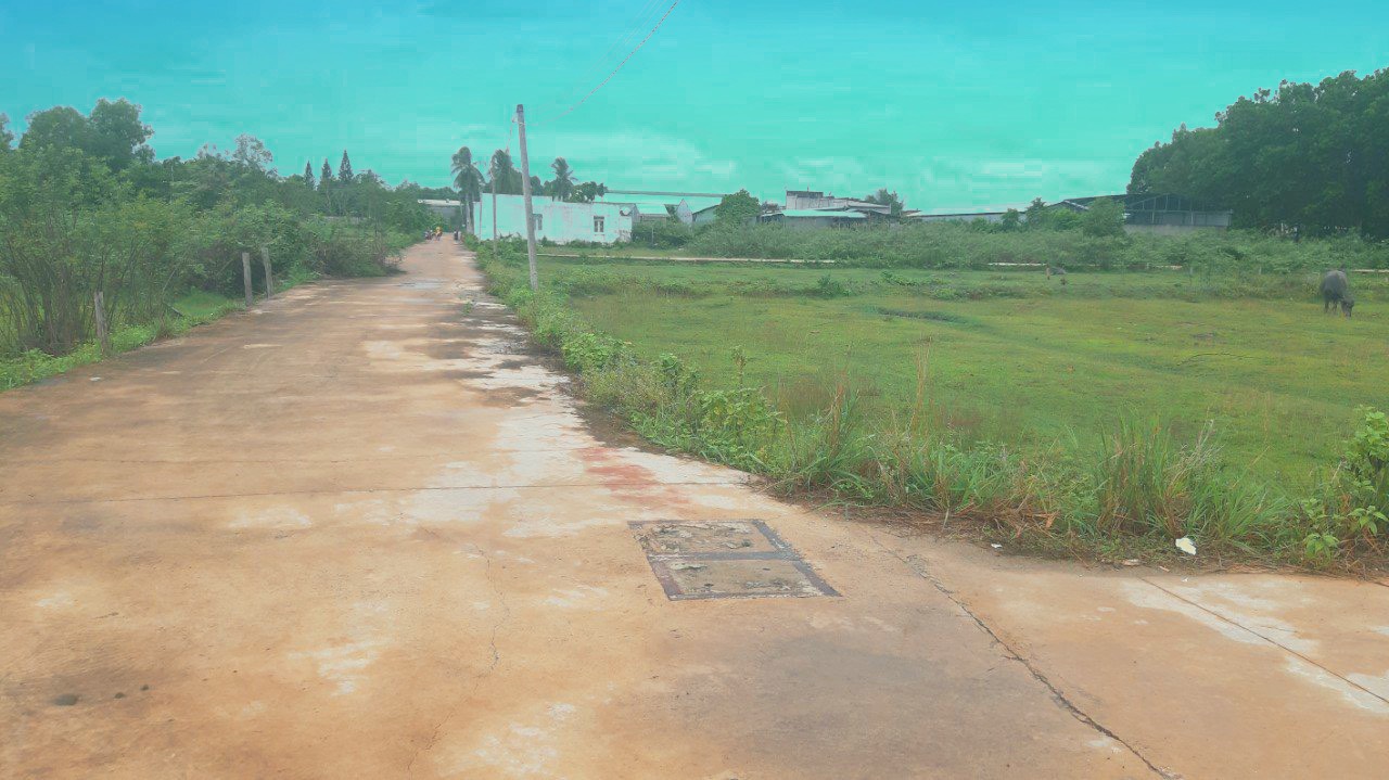 Cần bán Đất đường 782, Xã Bàu Đồn, Diện tích 300m², Giá 700 Triệu - LH: 0398516215 4