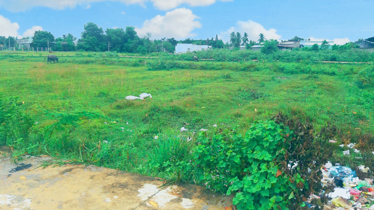Cần bán Đất đường 782, Xã Bàu Đồn, Diện tích 300m², Giá 700 Triệu - LH: 0398516215 3