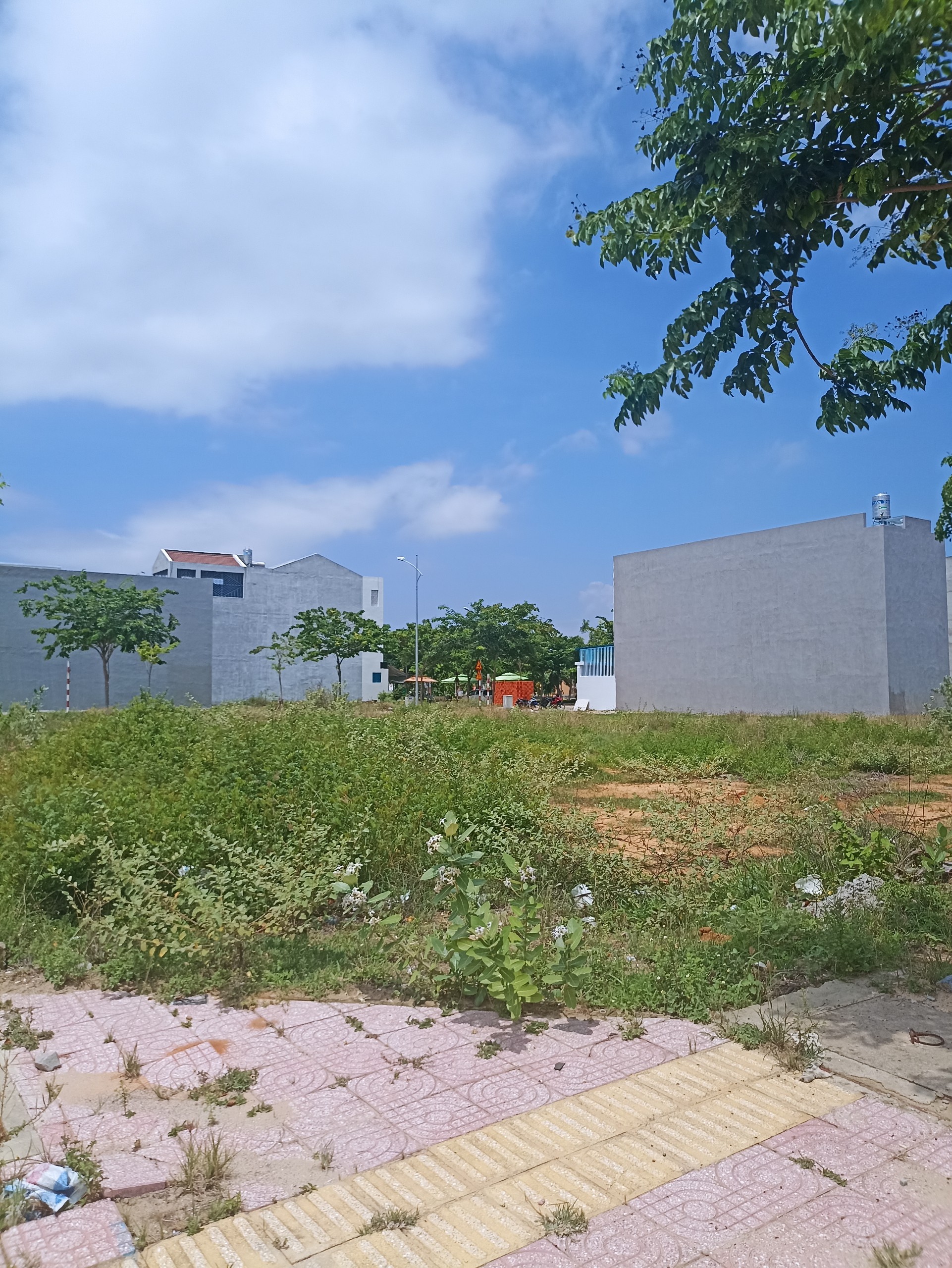 Cần bán Đất Phường Văn Hải, Phan Rang - Tháp Chàm, Diện tích 220m², Giá Thương lượng 2