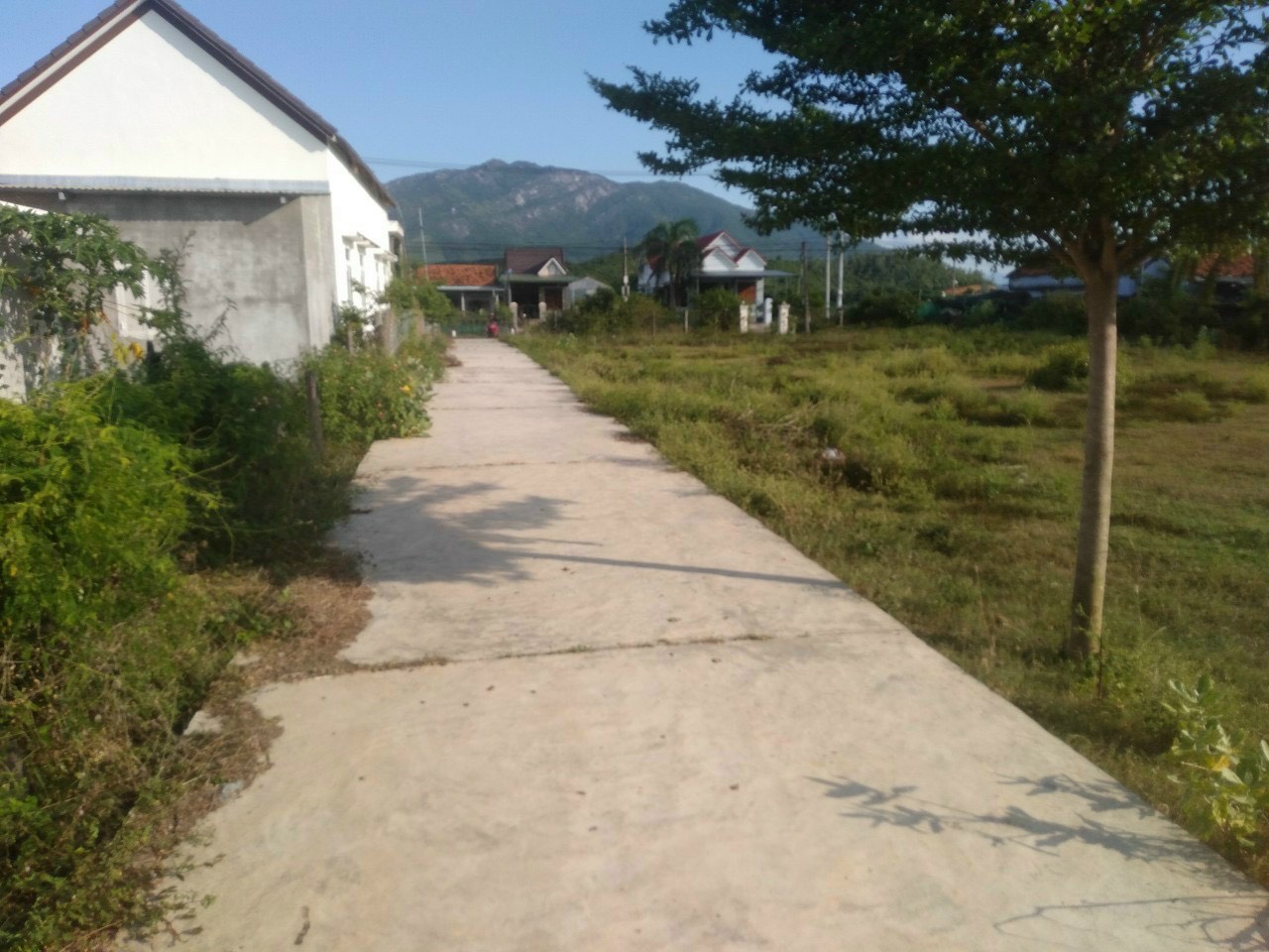 Cần bán Đất nền dự án đường B1, Xã Ninh Thọ, Diện tích 191m², Giá 1.6 Tỷ 4