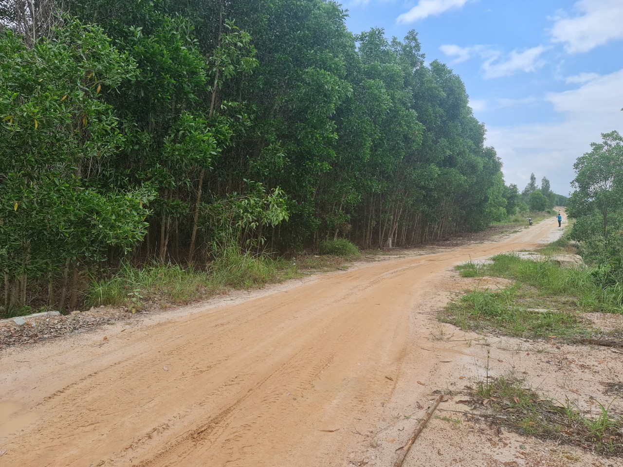 Cần bán Đất đường Nguyễn Trãi, Xã Tân Bình, Diện tích 1259m², Giá 1.6 Tỷ - LH: 0988609571 3