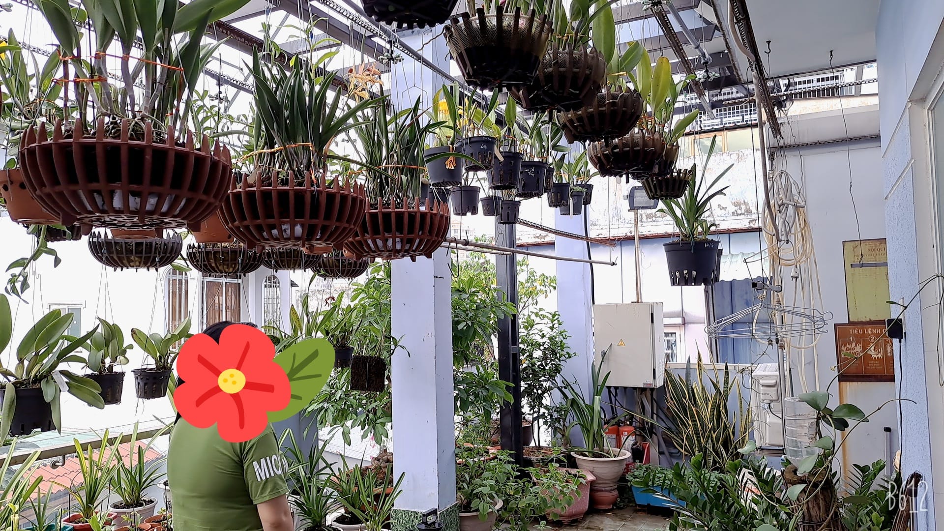 BÁN NHÀ HOA HẬU SA KÊ MẶT TIỀN KINH DOANH NGANG KHỦNG 10M ĐƯỜNG NHỰA 8M NHÍCH 9 TỶ. 4